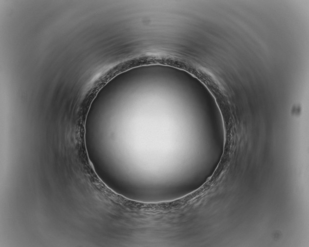 X0000092060776200709191141