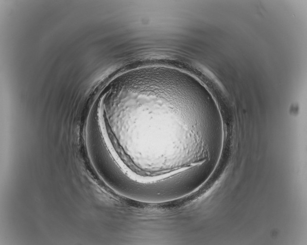 X0000092060777200709191141