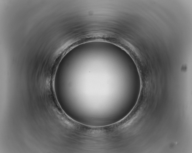 X0000092060778200709191141