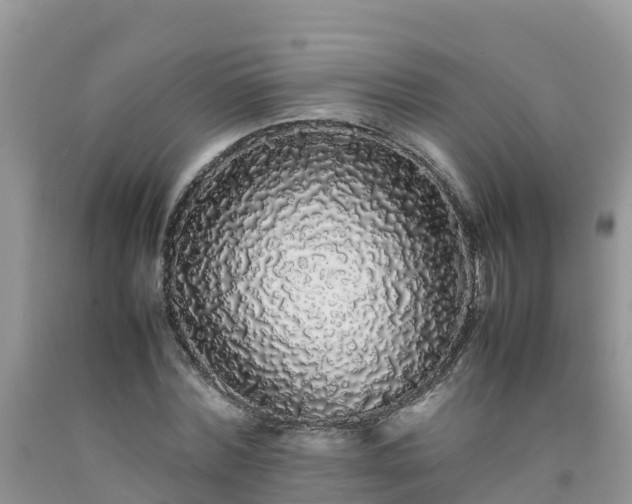 X0000092060780200709191141