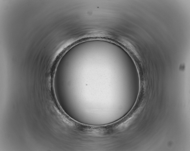 X0000092060781200709191141