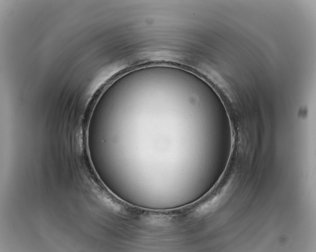 X0000092060782200709191141