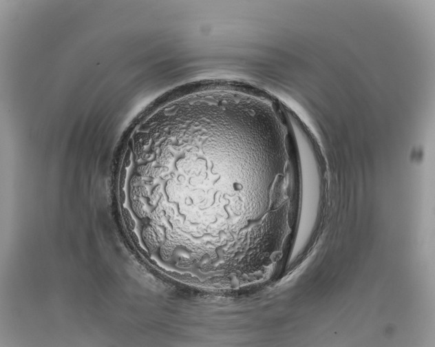 X0000092060783200709191141