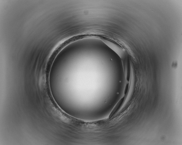 X0000092060784200709191141