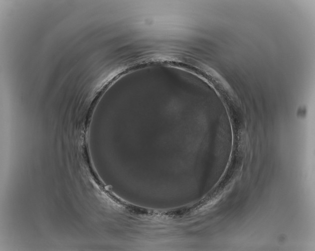 X0000092060785200709191141