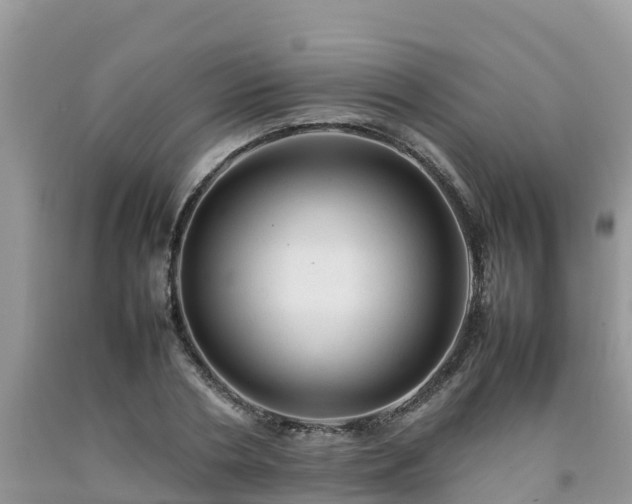 X0000092060786200709191141