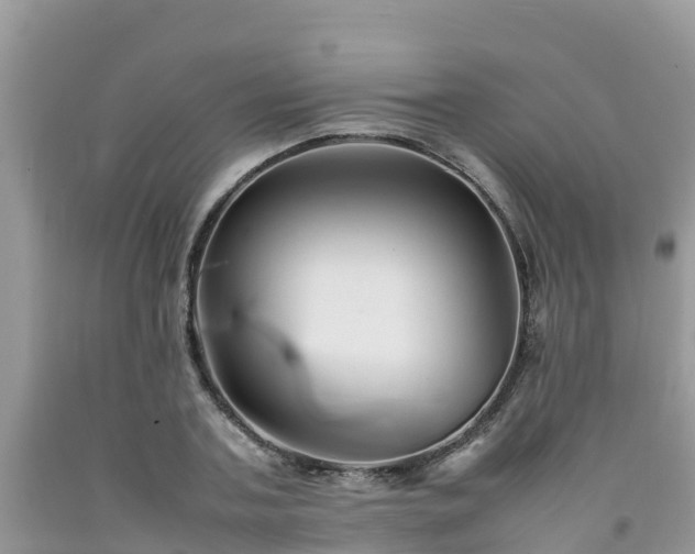 X0000092060787200709191141