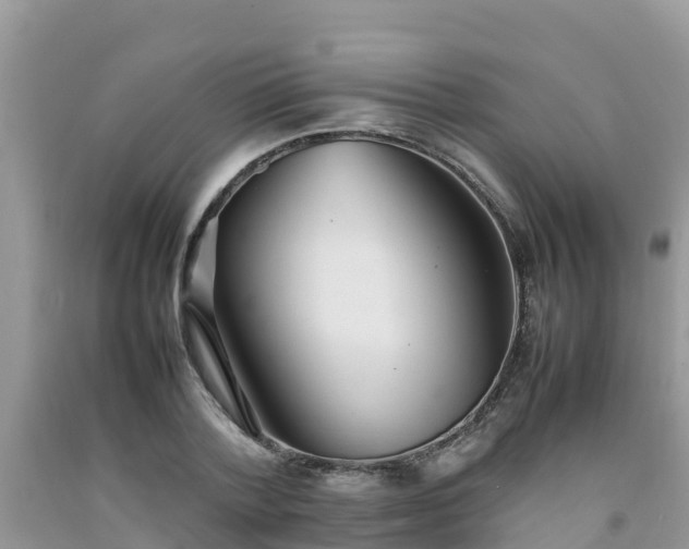 X0000092060788200709191141