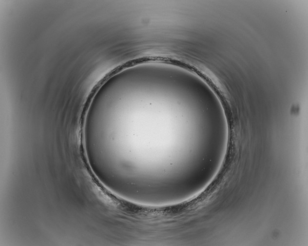 X0000092060791200709191141