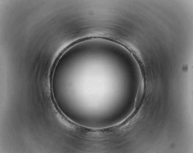 X0000092060792200709191141