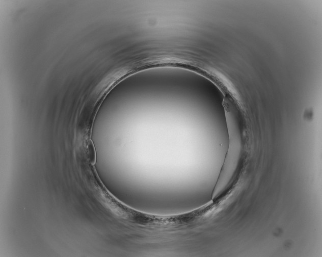 X0000092060793200709191141