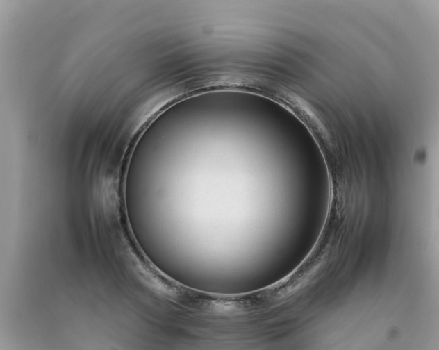 X0000092060794200709191141