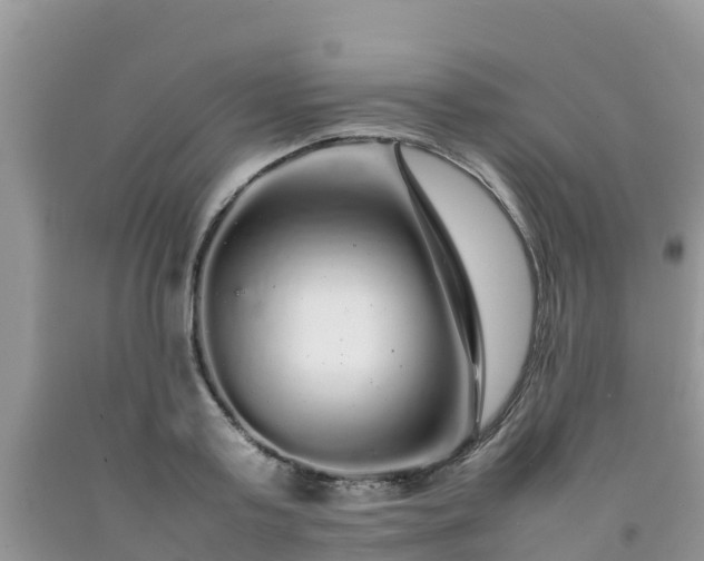 X0000092060795200709191140