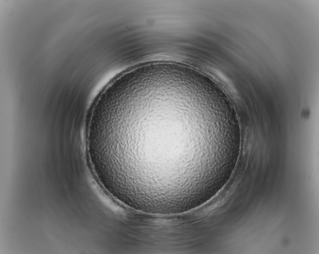 X0000092060796200709191140