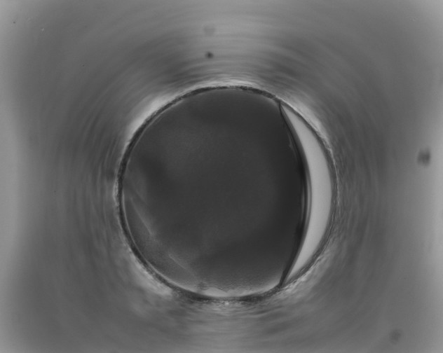 X0000092060797200709191140