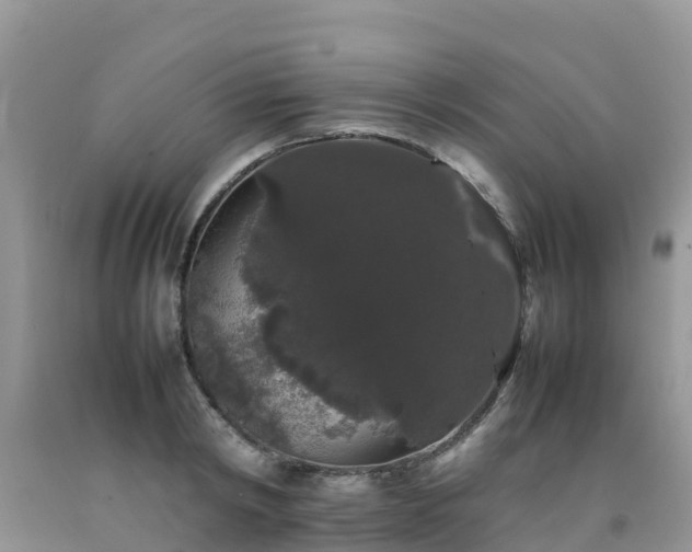 X0000092060798200709191140