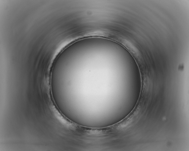 X0000092060800200709191140