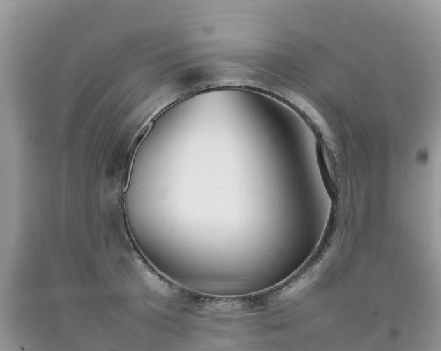 X0000092060801200709191140