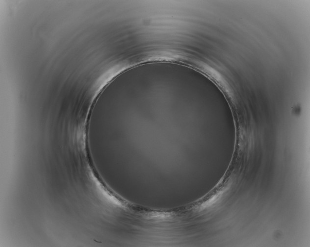 X0000092060802200709191140