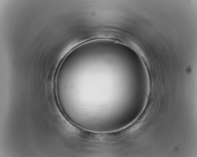 X0000092060803200709191140