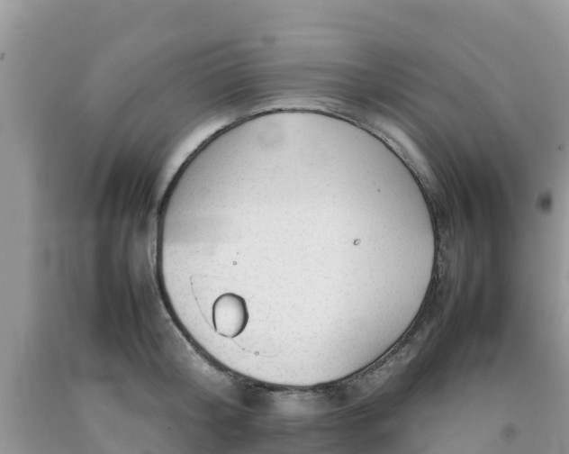 X0000092060804200709191140