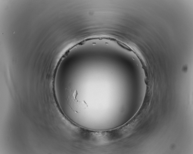 X0000092060805200709191140