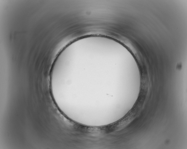 X0000092060807200709191140