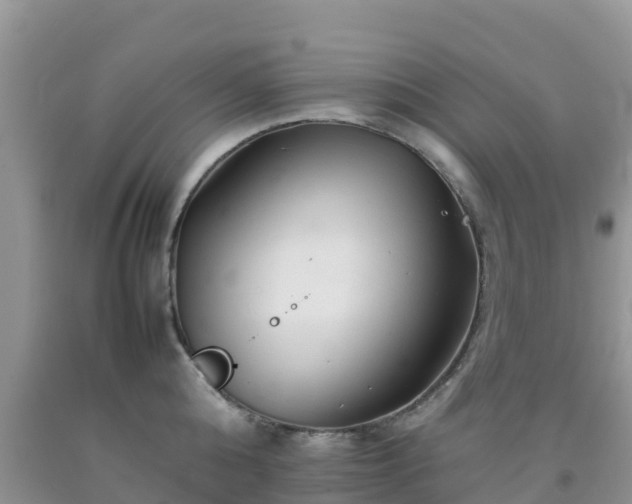 X0000092060808200709191140