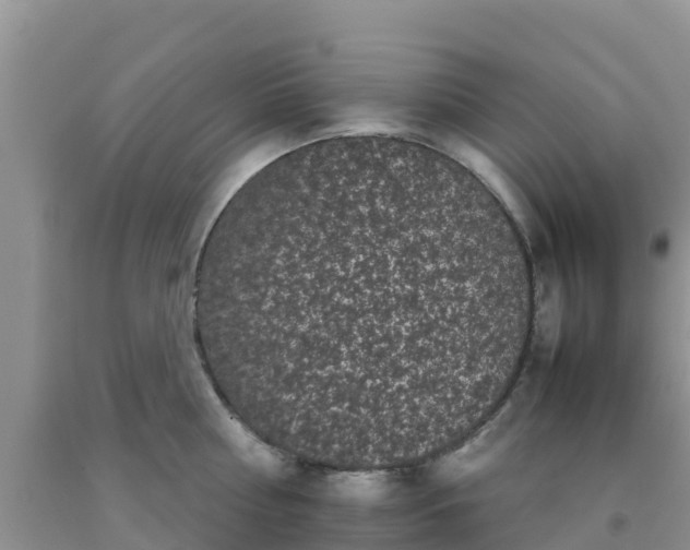 X0000092060810200709191140