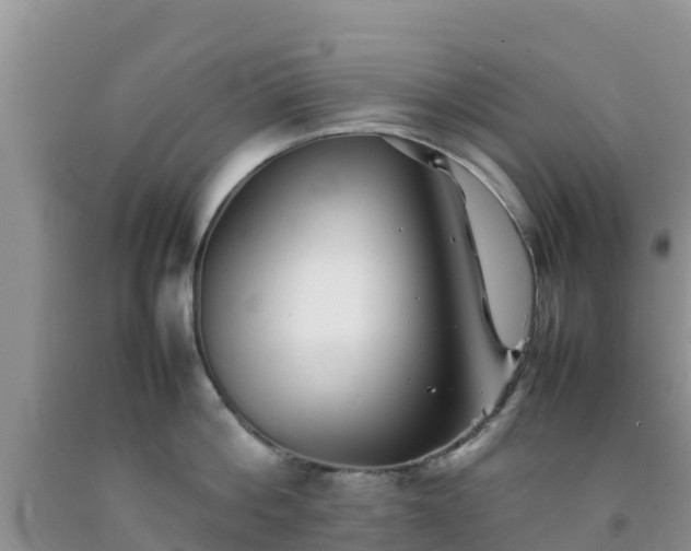 X0000092060812200709191140