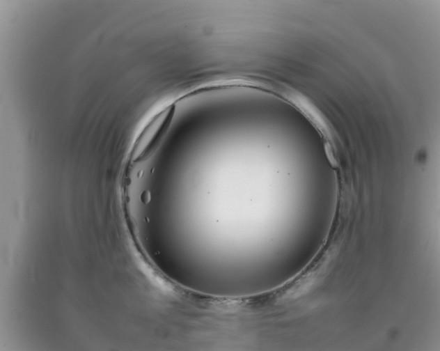 X0000092060813200709191140