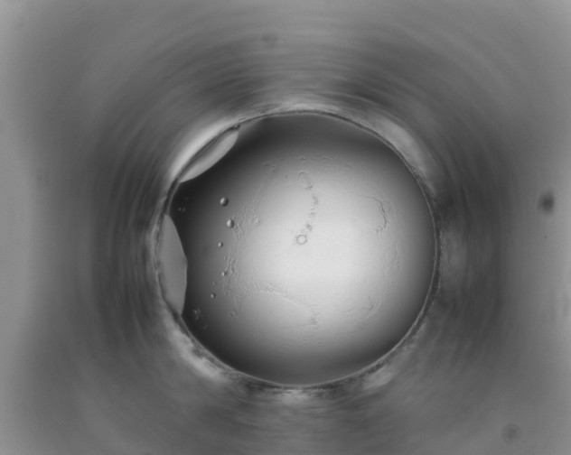 X0000092060814200709191140