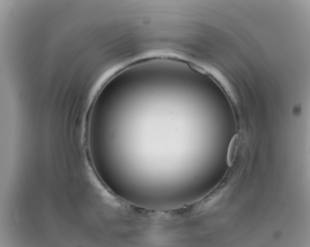 X0000092060815200709191140