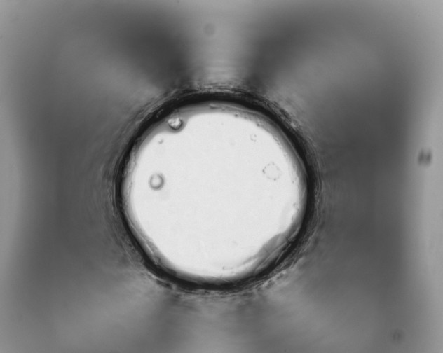 X0000092060817200709191139