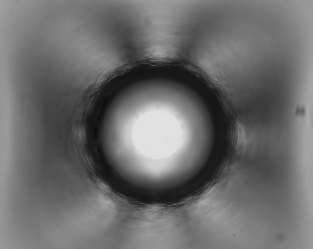 X0000092060818200709191139