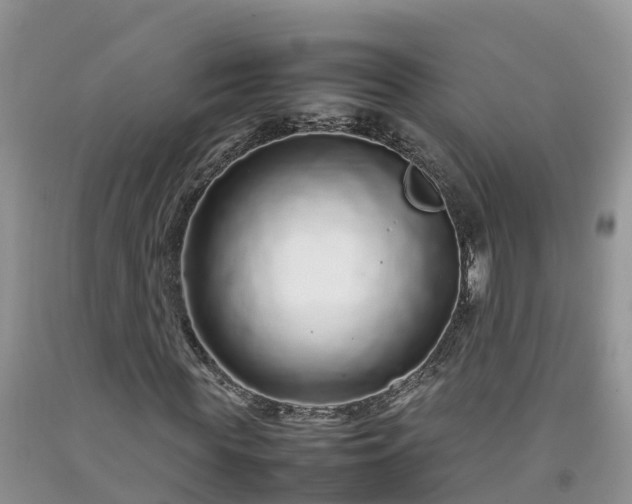 X0000092060819200709191139