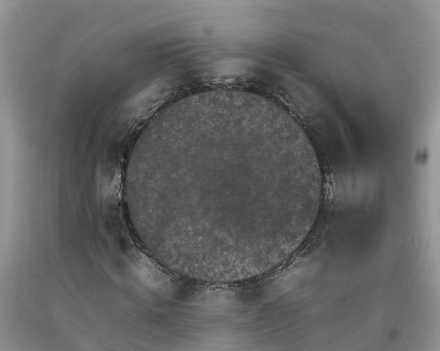 X0000092060820200709191139