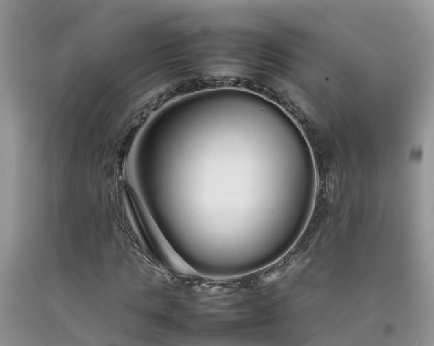 X0000092060821200709191139