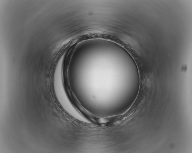 X0000092060822200709191139