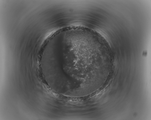 X0000092060823200709191139