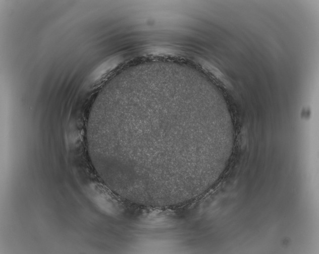 X0000092060824200709191139