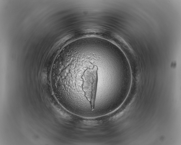 X0000092060825200709191139