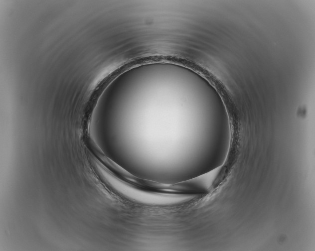 X0000092060826200709191139