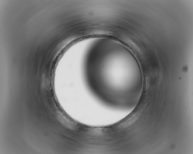 X0000092060828200709191139