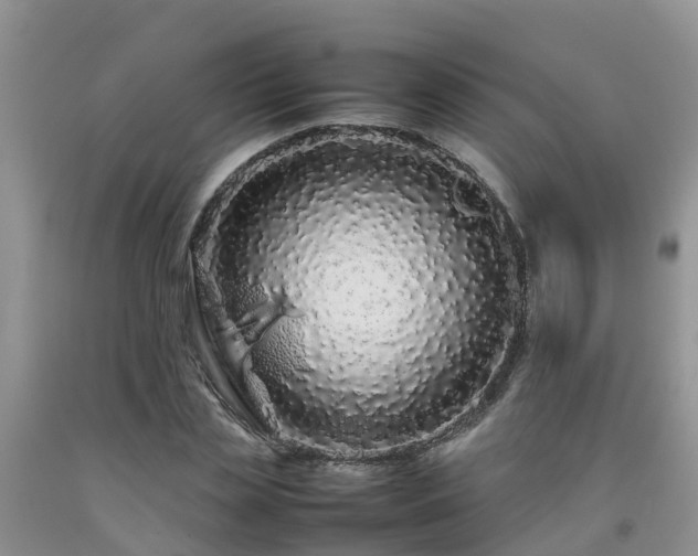 X0000092060829200709191139