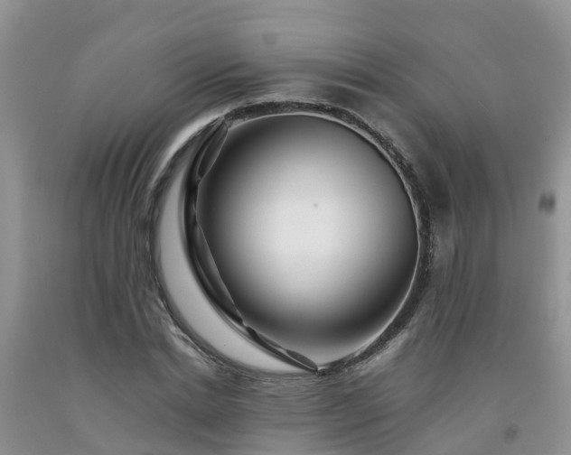 X0000092060830200709191139