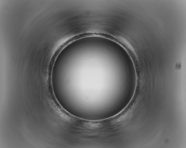 X0000092060831200709191139