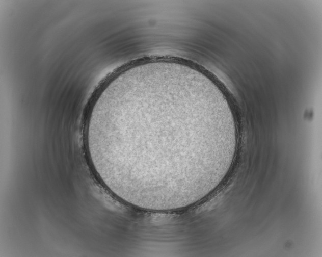 X0000092060832200709191139