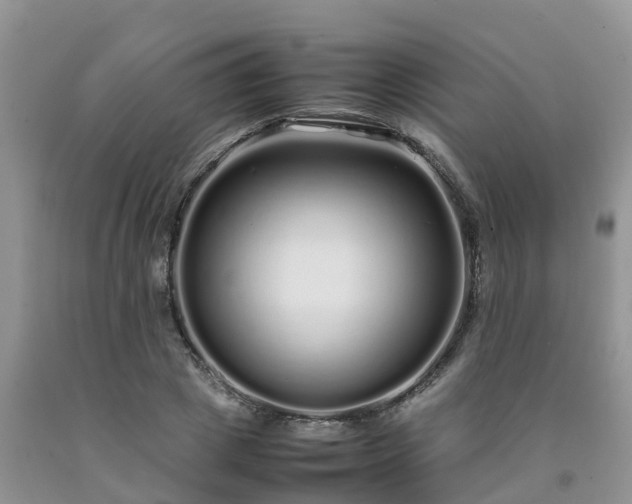 X0000092060833200709191139