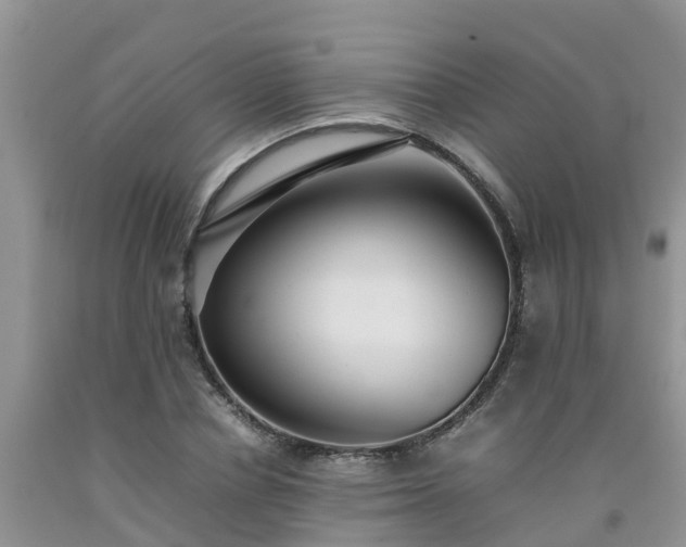 X0000092060834200709191139